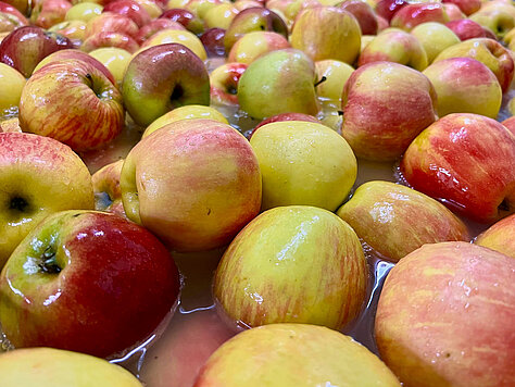 Apples/Pears