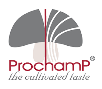 Prochamp Logo