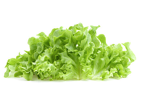 Blattsalat Blattsalat