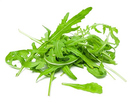 Ruccola Salat Ruccola Salat