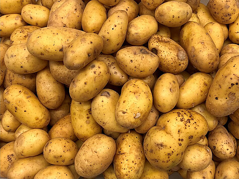 Potatoes