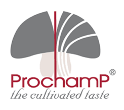 Prochamp Logo