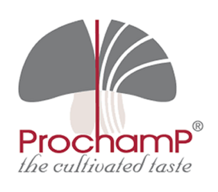 ProchamP